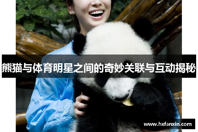 熊猫与体育明星之间的奇妙关联与互动揭秘